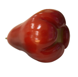 ROSE APPLE.PNG